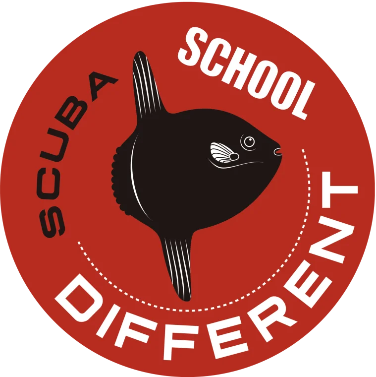 escuela buceo